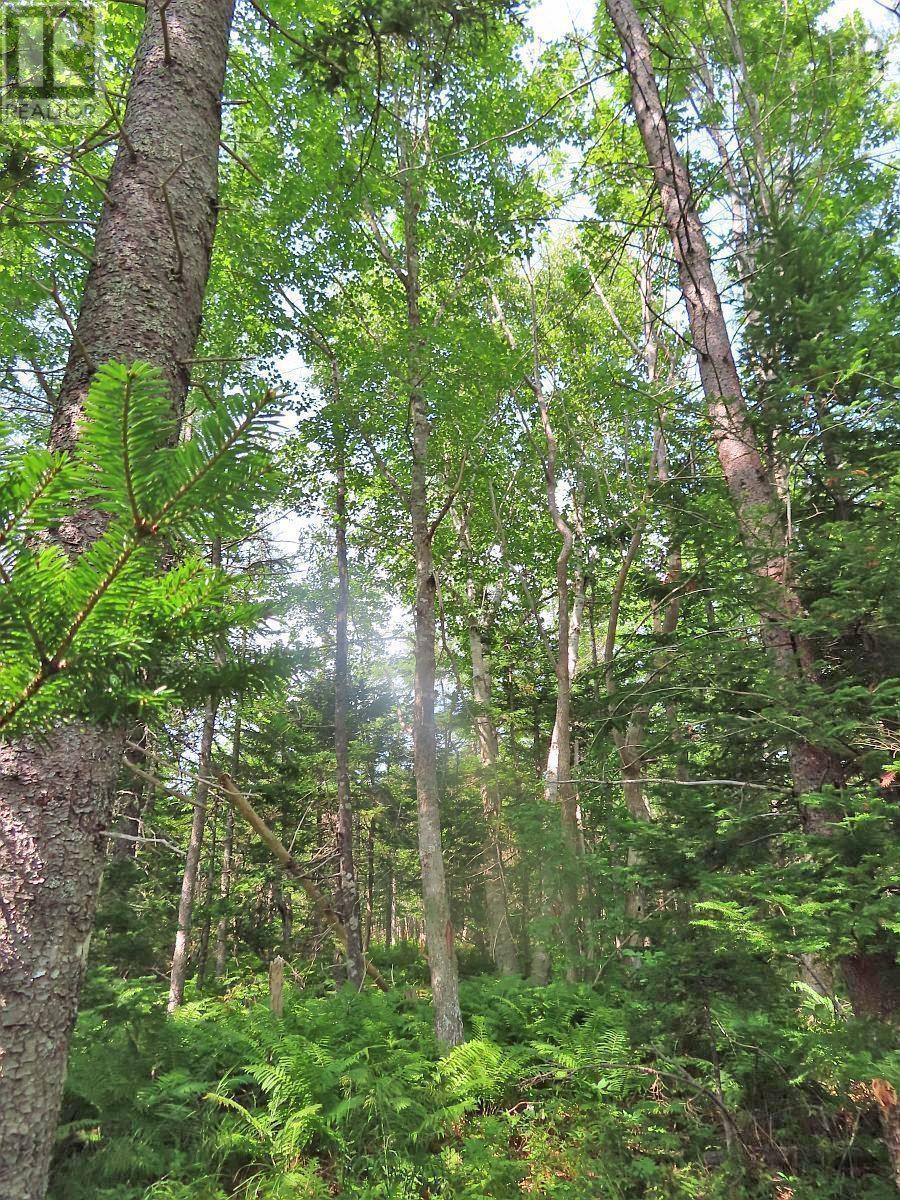 Property 18 of 49 of Lot 14 Perry Lane