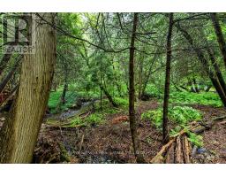 5147 Patterson Road, Clarington, ON L0B1M0 Photo 35