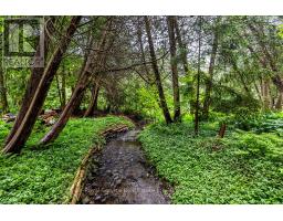 5147 Patterson Road, Clarington, ON L0B1M0 Photo 41