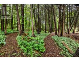 5147 Patterson Road, Clarington, ON L0B1M0 Photo 43
