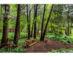 5147 Patterson Road, Clarington, ON L0B1M0 Photo 44