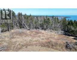 Lot 15-04 Ohio Pond Road, Grand Manan, NB E5G4B4 Photo 8