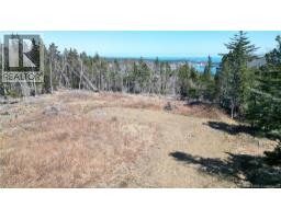 Lot 15-04 Ohio Pond Road, Grand Manan, NB E5G4B4 Photo 7