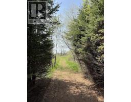 Lot 1 Oyster Bed Park Drive, Wheatley River, PE C0A1N0 Photo 12