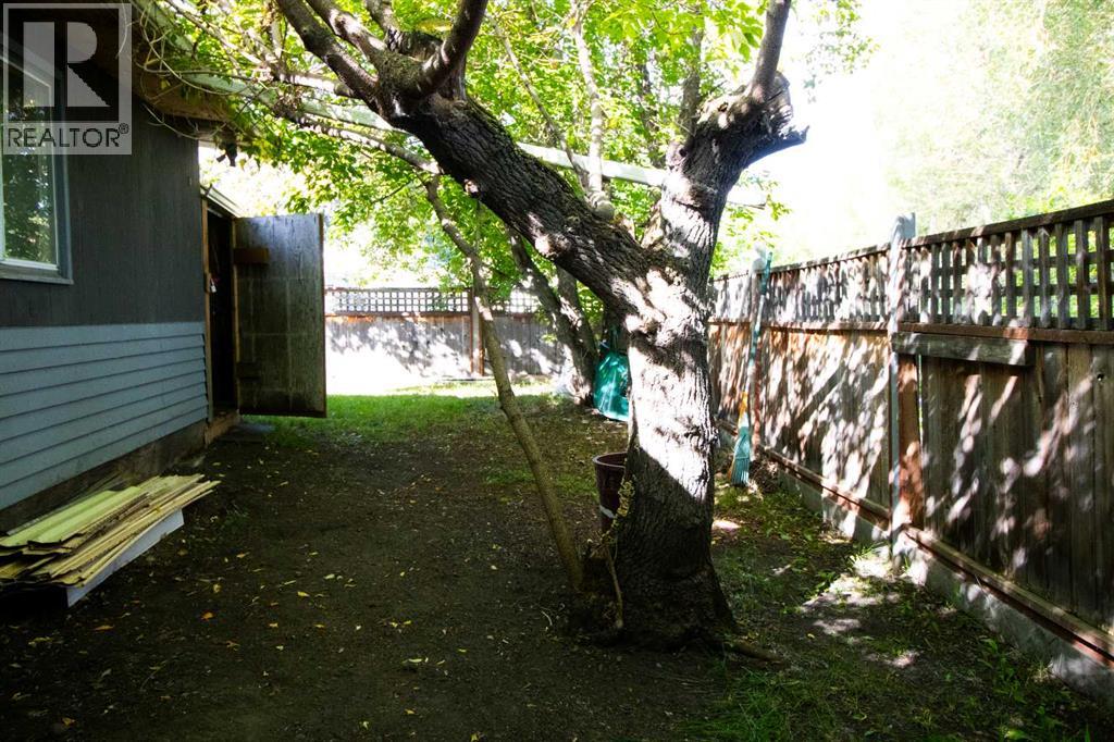 Yard North side