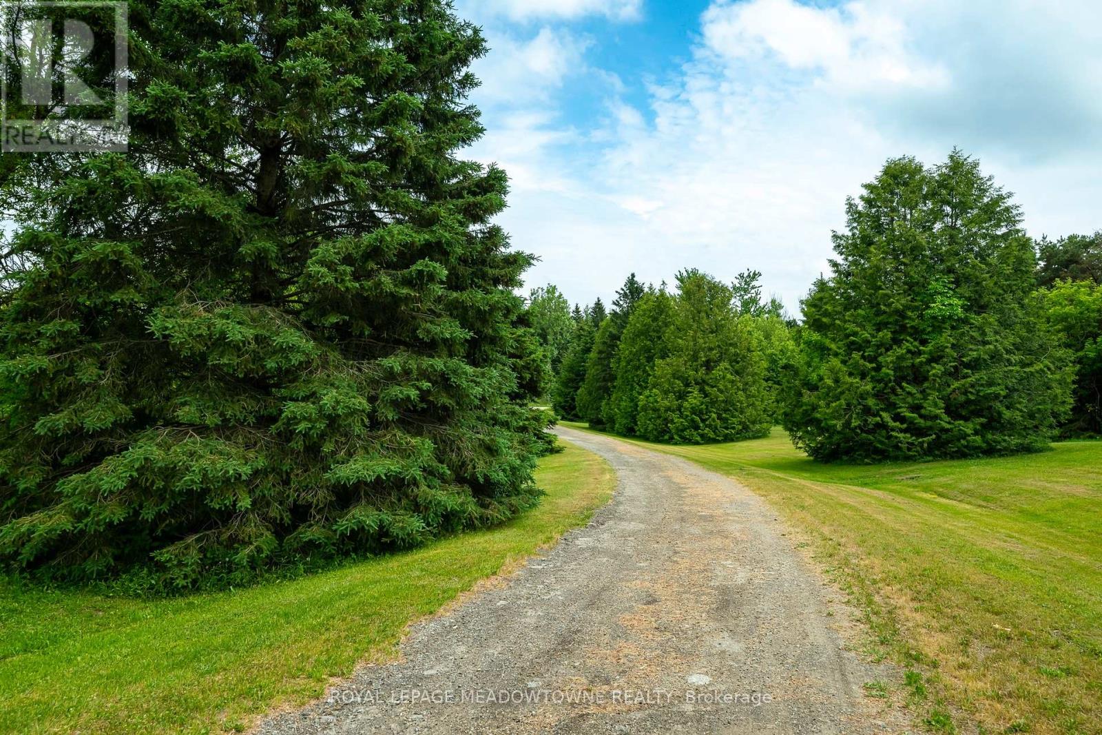 3574 ESCARPMENT SIDE ROAD - 25