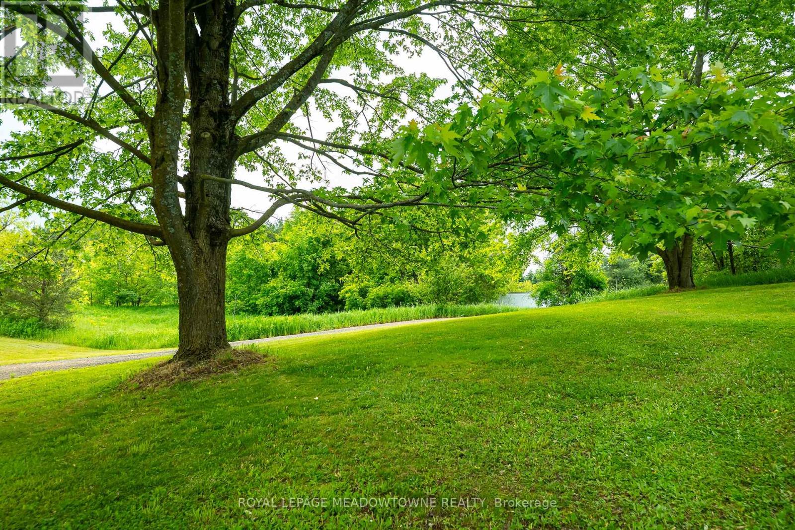 3574 ESCARPMENT SIDE ROAD - 26