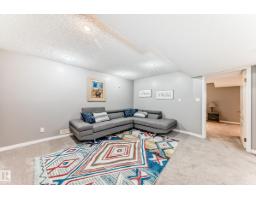 170 Blackburn Dr Sw, Edmonton, AB T6W1B6 Photo 45