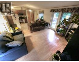3pc Bathroom - 3560 Upper Levels Road, Robson, BC V0G1X0 Photo 6