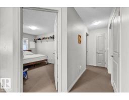 Laundry room - #114 11453 Ellerslie Rd Sw, Edmonton, AB T6W1T3 Photo 6