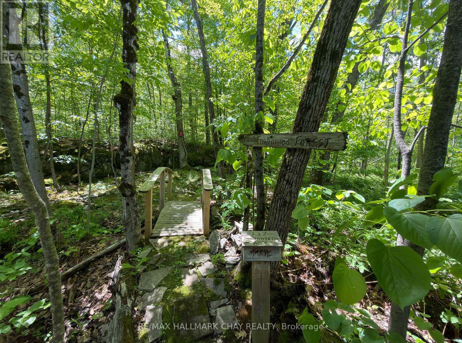 137 PICKEREL POINT ROAD - 35