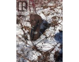1509 Route 735, Scotch Ridge, NB E3L5K1 Photo 19