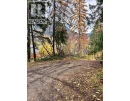 9th Avenue, Castlegar, BC V1N1K8 Photo 8