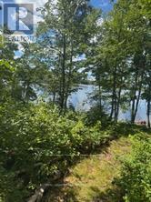 493 BUTTERMILK LANE - 10