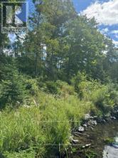 493 BUTTERMILK LANE - 23