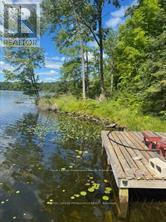 493 BUTTERMILK LANE - 16