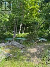 493 BUTTERMILK LANE - 20