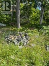 493 BUTTERMILK LANE - 18