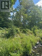 493 BUTTERMILK LANE - 8