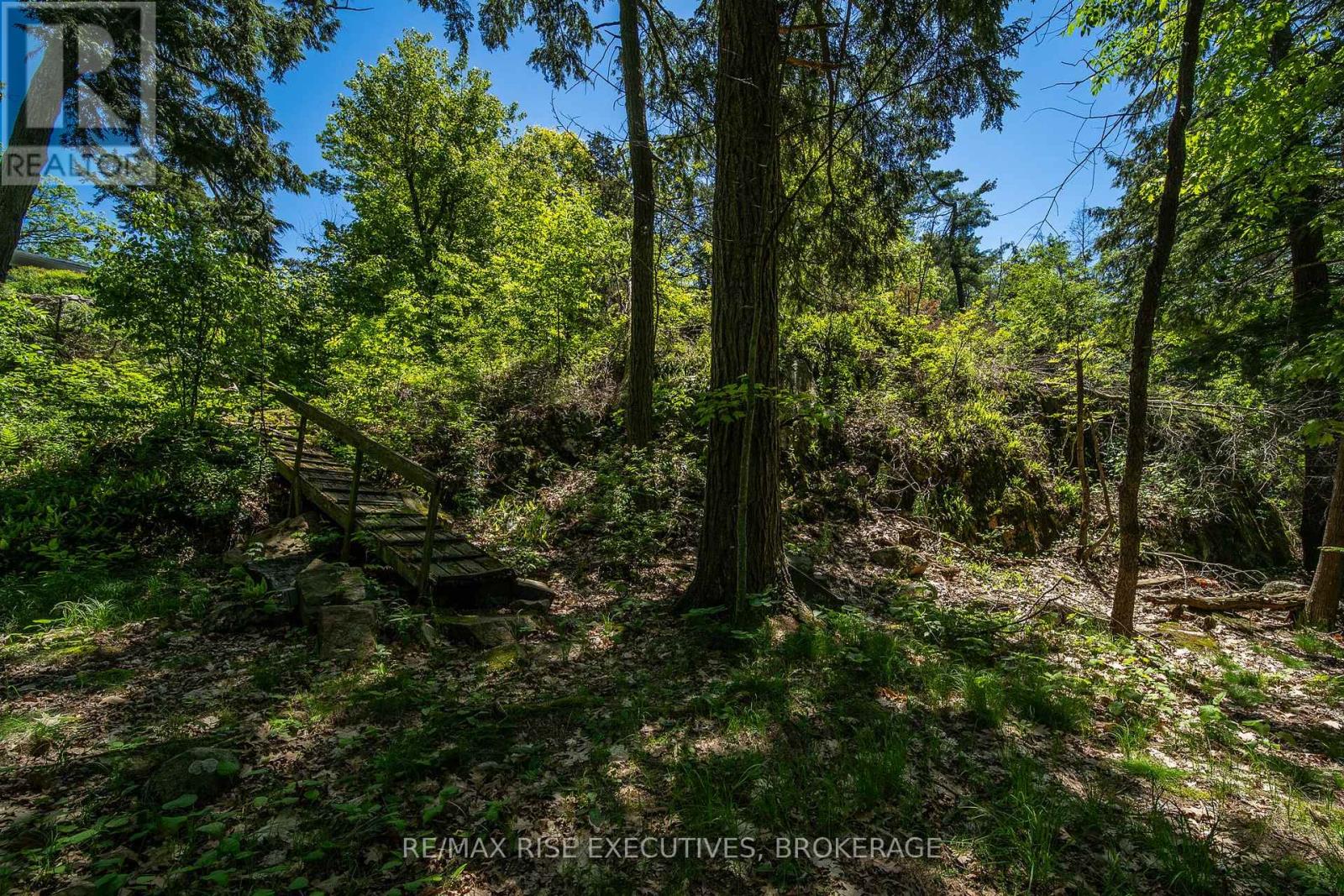 22 THE POINT ROAD - 38