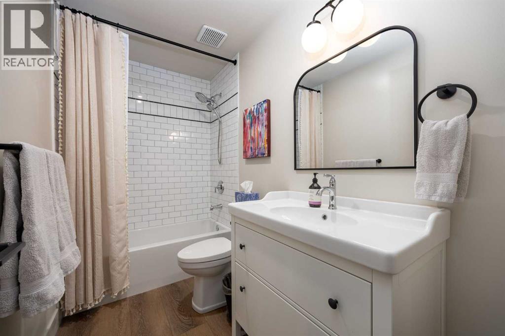Lower level bathroom