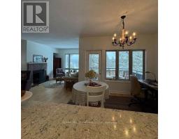 5 - 3421 Grandview Forest Hill Drive, Huntsville, ON P1H2J5 Photo 27