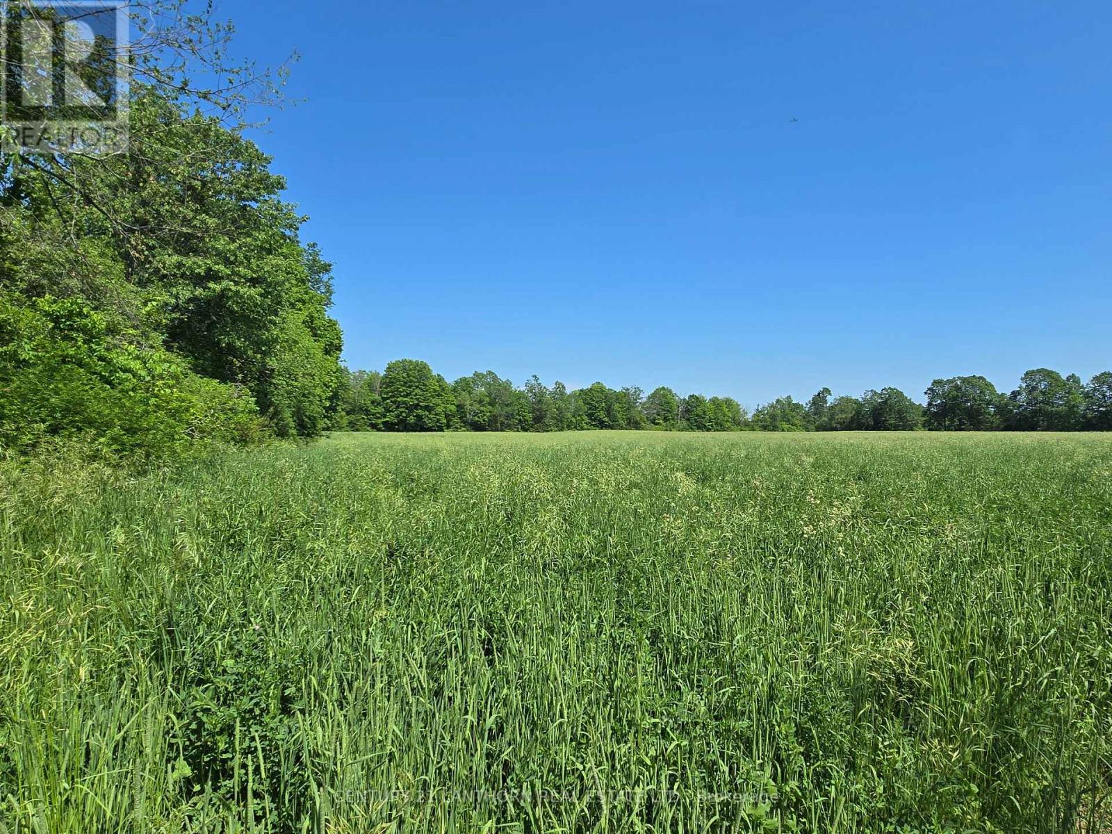 0 SHANNONVILLE ROAD