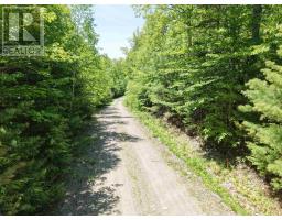 Lot 11 Christopher Road, Whiteburn Mines, NS B0T1B0 Photo 20