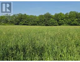 0 Shannonville Road, Tyendinaga, ON K0K1V0 Photo 10