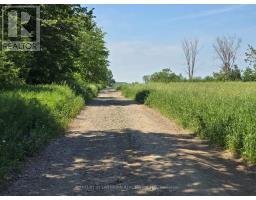 0 Shannonville Road, Tyendinaga, ON K0K1V0 Photo 11