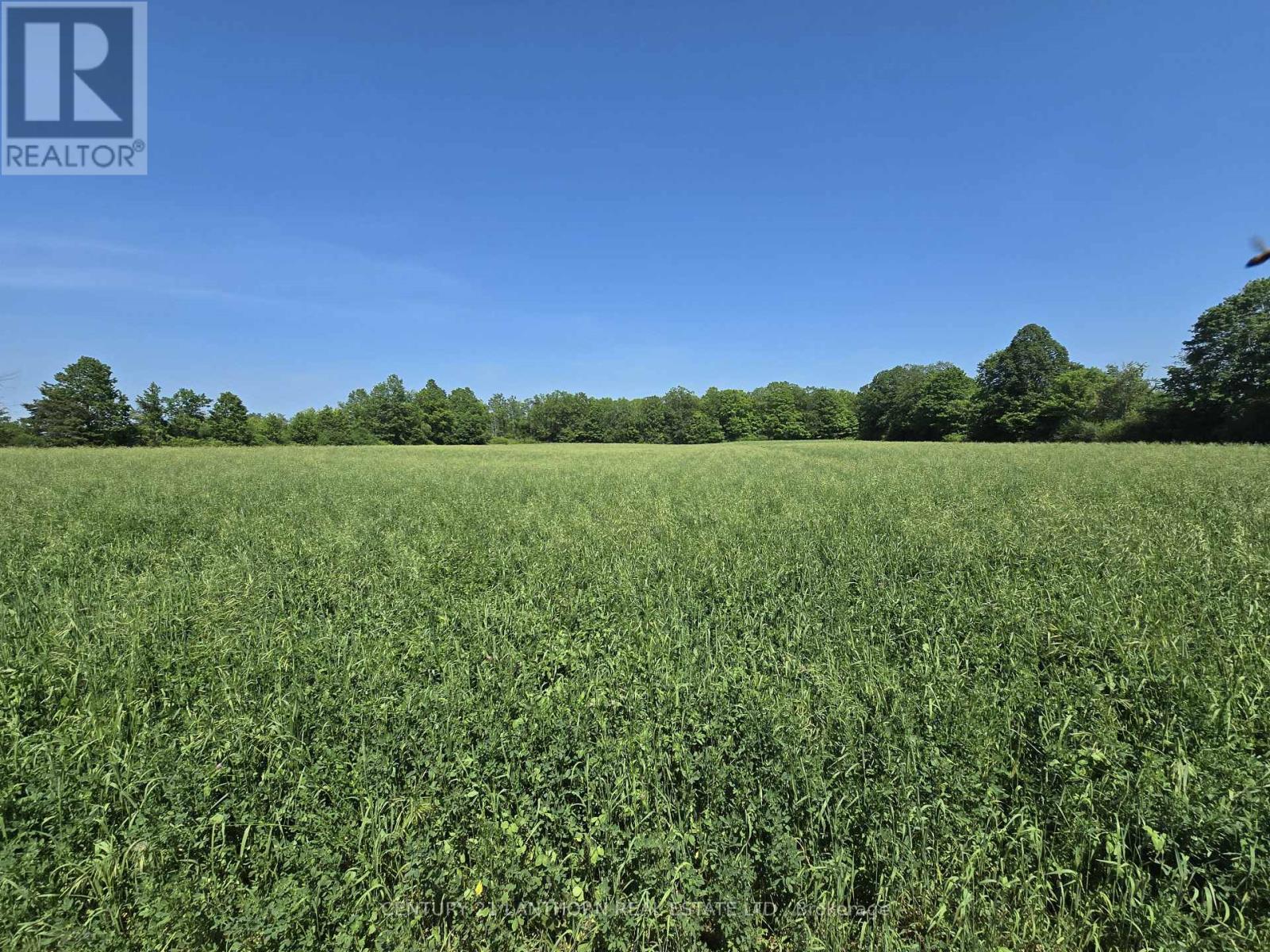 0 SHANNONVILLE ROAD