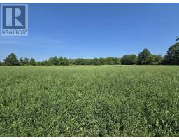 0 Shannonville Road, Tyendinaga, ON K0K1V0 Photo 14