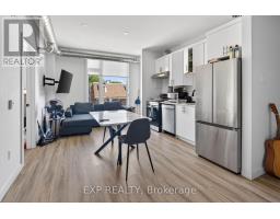 316 Somerset Street E, Ottawa, ON K1N6W3 Photo 22