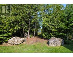 37 Paradise Drive, Northern Bruce Peninsula, ON N0H1W0 Photo 39