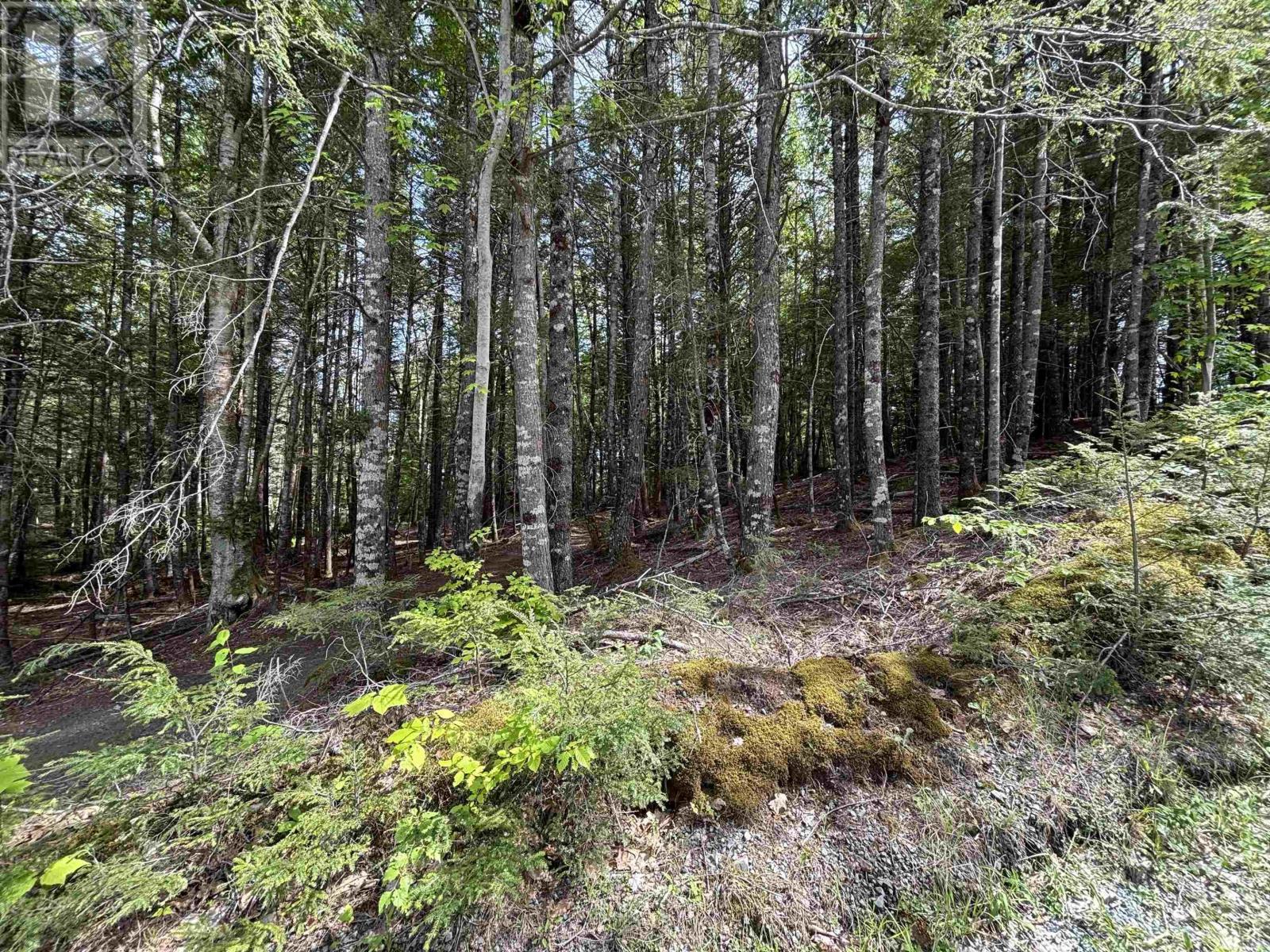 Property 16 of 16 of Lot 17 Bruhm Lane