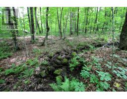 0 Limberlost Point Road, Parry Sound Remote Area, ON P0H2R0 Photo 10