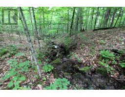 0 Limberlost Point Road, Parry Sound Remote Area, ON P0H2R0 Photo 11