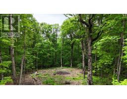 0 Limberlost Point Road, Parry Sound Remote Area, ON P0H2R0 Photo 12