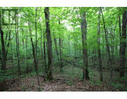 0 Limberlost Point Road, Parry Sound Remote Area, ON P0H2R0 Photo 15