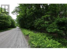 0 Limberlost Point Road, Parry Sound Remote Area, ON P0H2R0 Photo 16