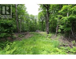 0 Limberlost Point Road, Parry Sound Remote Area, ON P0H2R0 Photo 6