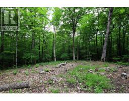 0 Limberlost Point Road, Parry Sound Remote Area, ON P0H2R0 Photo 8