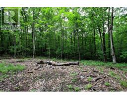 0 Limberlost Point Road, Parry Sound Remote Area, ON P0H2R0 Photo 9
