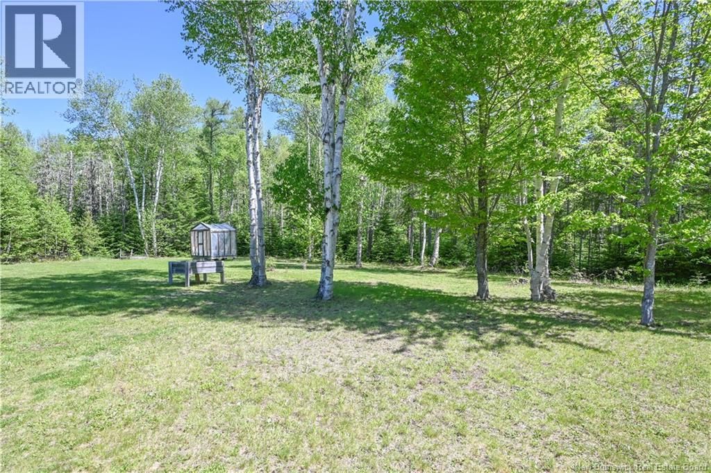 374 du Bicentenaire Street - 4