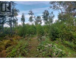 Lot 23 Sky Way, Big Harbour, NS B0E2Y0 Photo 8