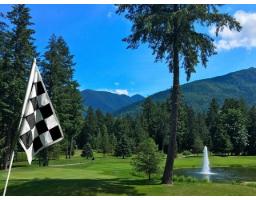 43393 Blue Grouse Lane, Cultus Lake South, Lindell Beach, BC V2R0X8 Photo 19