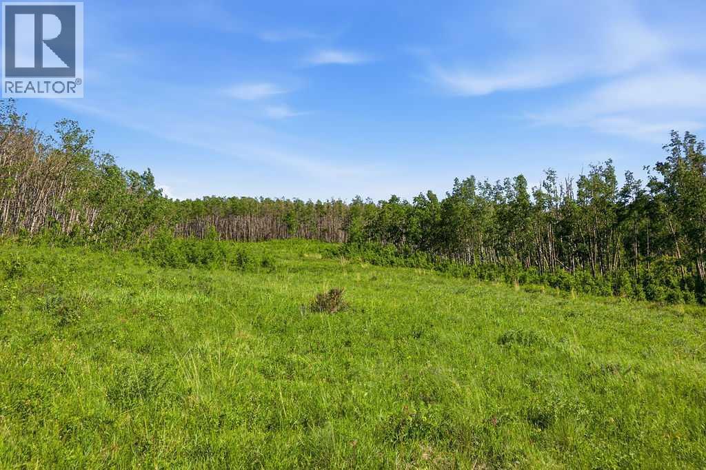 80+ Acres SE - 1 - 19 - 2 - W5 — photo 26