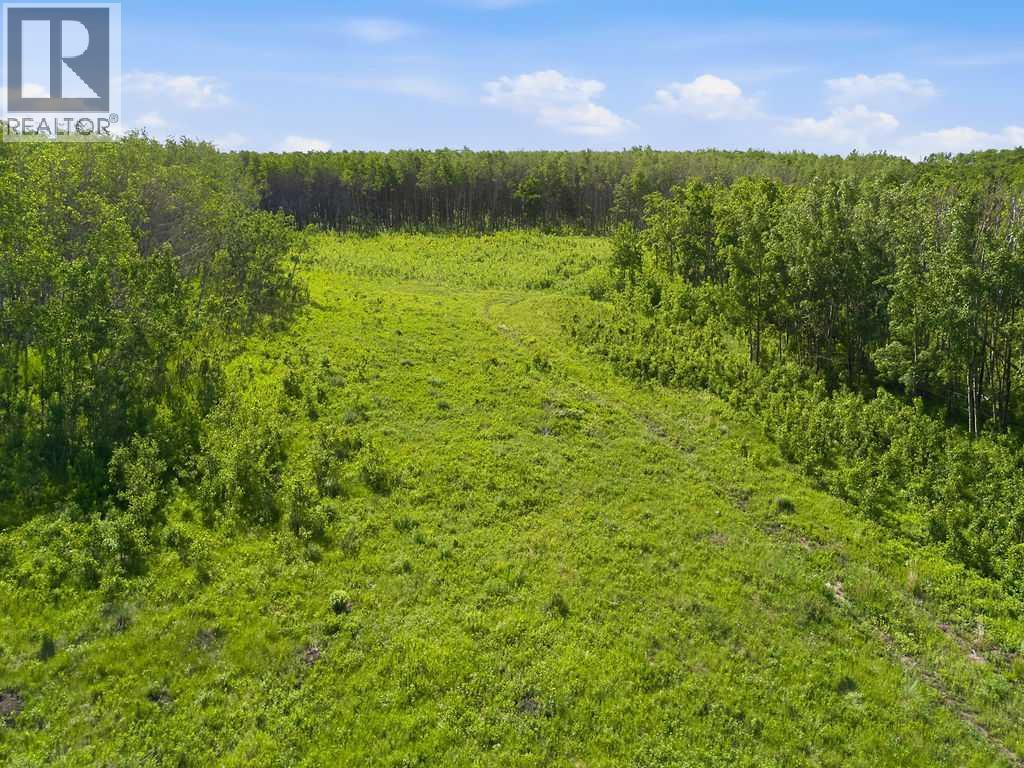 80+ Acres SE - 1 - 19 - 2 - W5 — photo 21