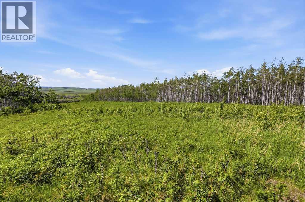 80+ Acres SE - 1 - 19 - 2 - W5 — photo 22