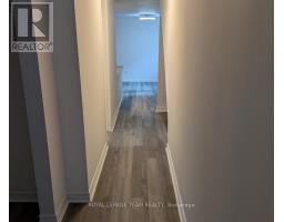 Laundry room - 29 Stevenson Avenue, Ottawa, ON K1Z6M9 Photo 10